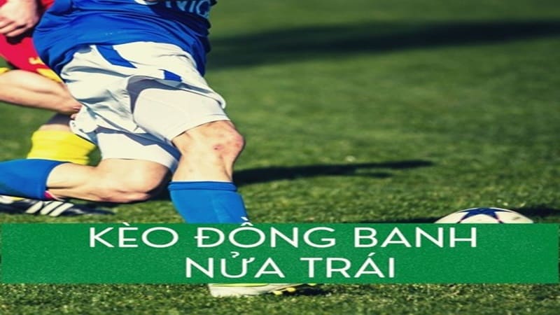 kèo bóng đá 1/2 kèo bóng đá 1/2